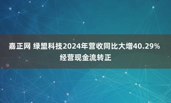 嘉正网 绿盟科技2024年营收同比大增40.29% 经营现金流转正