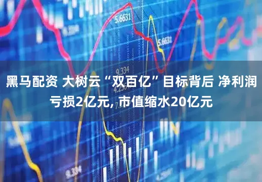 黑马配资 大树云“双百亿”目标背后 净利润亏损2亿元, 市值缩水20亿元